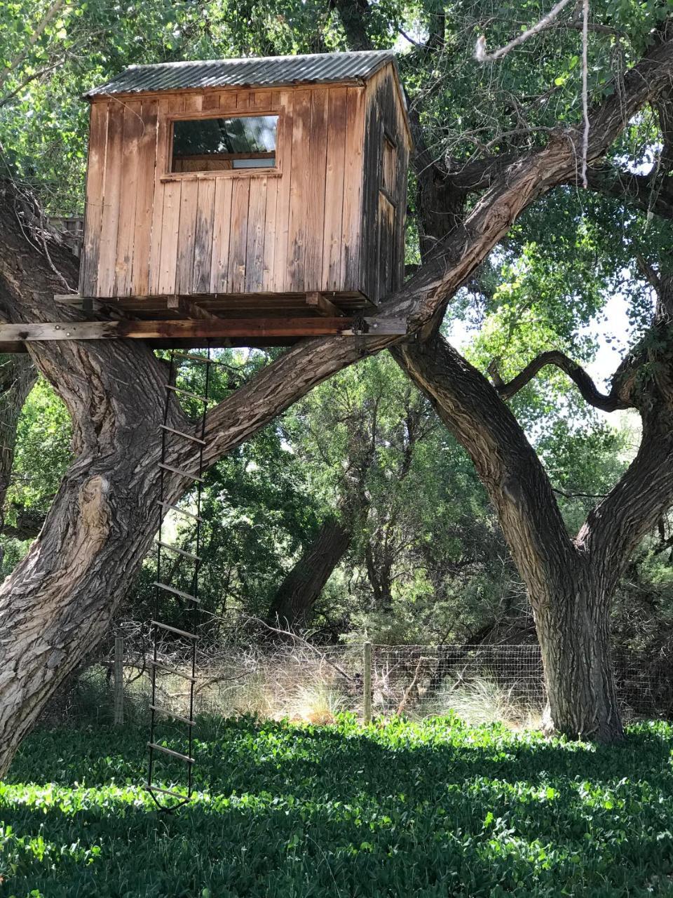 Morning Star Bed & Breakfast Of Corrales Экстерьер фото