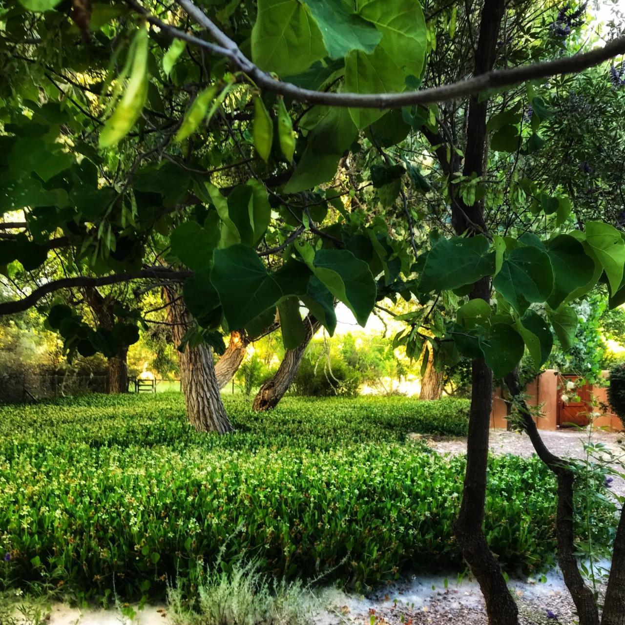 Morning Star Bed & Breakfast Of Corrales Экстерьер фото